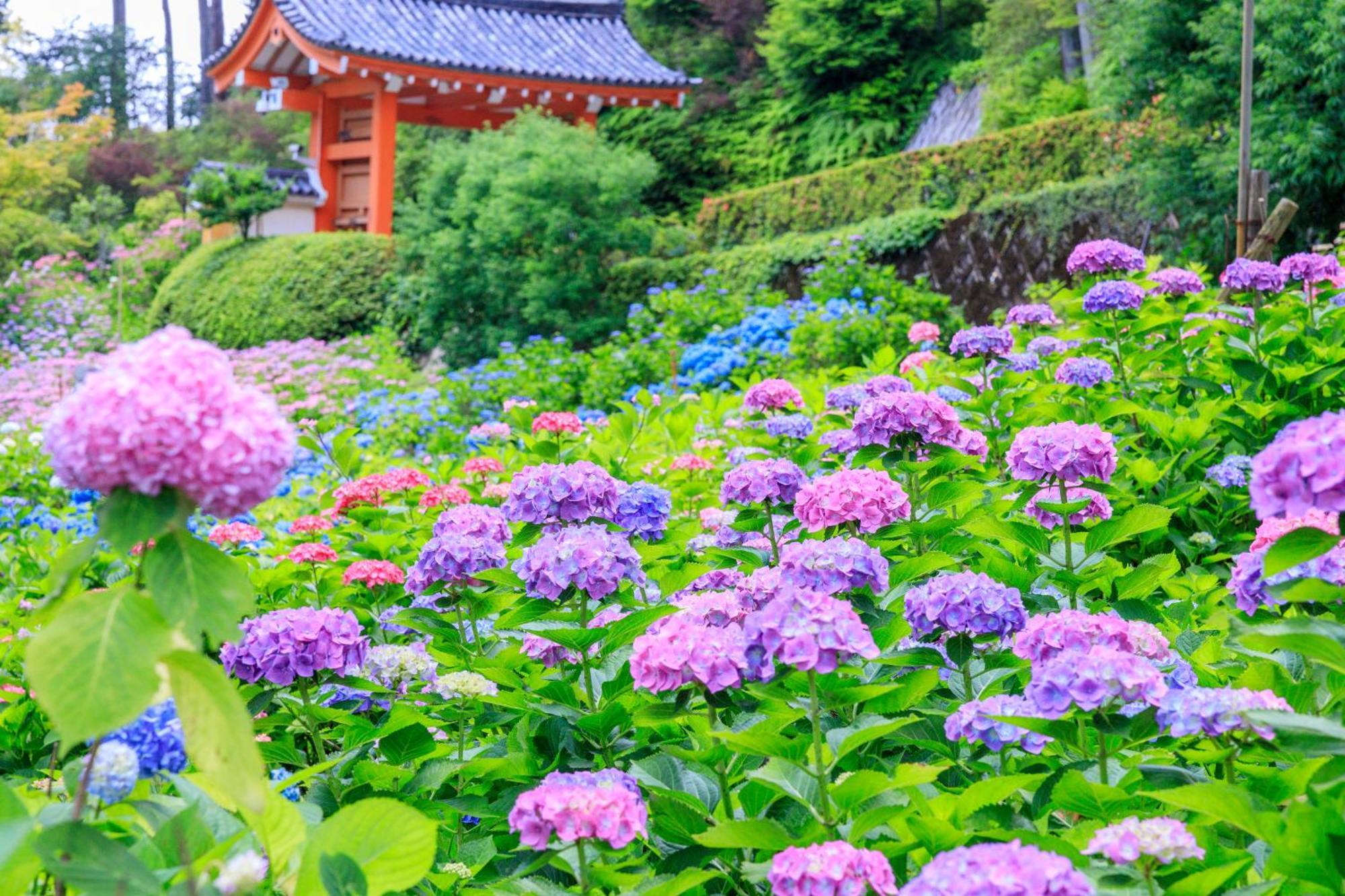 Mimaru Suites Kyoto Central ภายนอก รูปภาพ